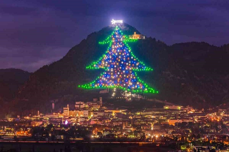 Ảnh cây thông Giáng Sinh với ruy băng và quả châu cỡ lớn