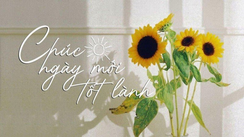 Ảnh chào buổi sáng với bó hoa hồng tươi