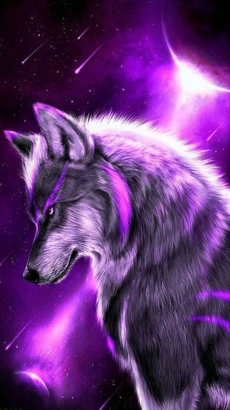 Ảnh chất cute: Hai chú mèo đang &quot;thì thầm&quot; với nhau