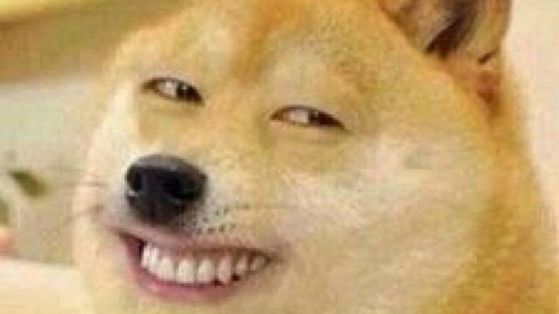 Ảnh chế về hành động đáng yêu của chó