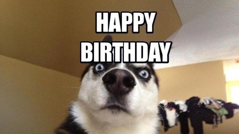 Ảnh chúc mừng sinh nhật bá đạo troll bạn bè vui nhộn