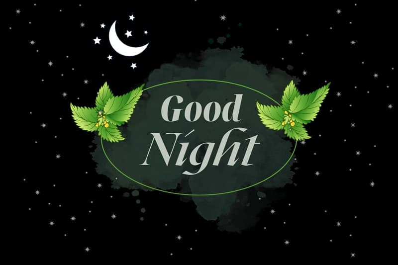 Ảnh chúc ngủ ngon đáng yêu với hình gấu