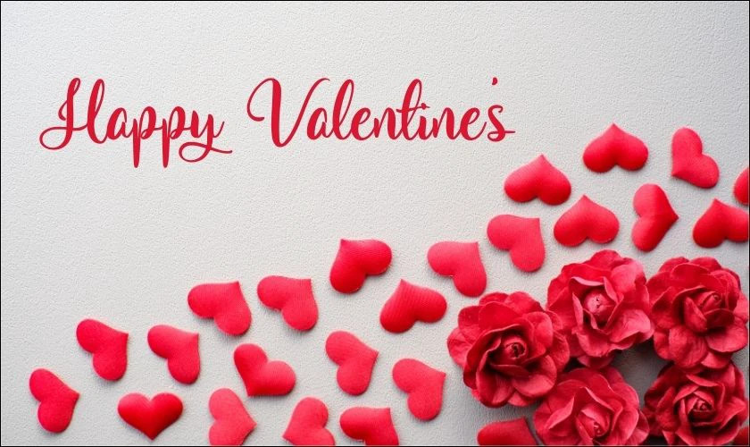 Ảnh chụp một bông hoa hồng đẹp với lá xanh làm nền