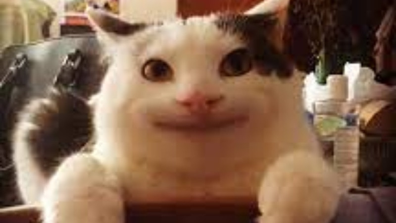 Ảnh cười giúp giải tỏa căng thẳng và mang lại năng lượng tích cực