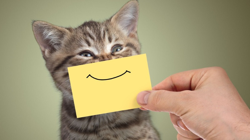 Ảnh cười phản ánh các tình huống đời thường mà ai cũng gặp