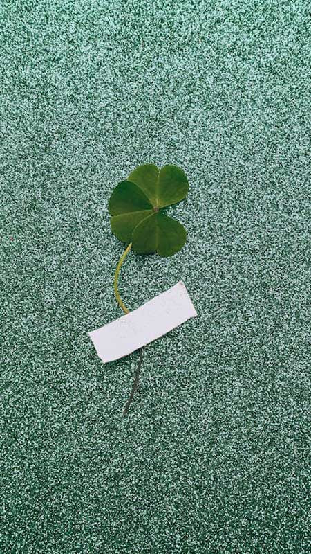 ảnh đại diện Zalo biểu tượng tiền vàng