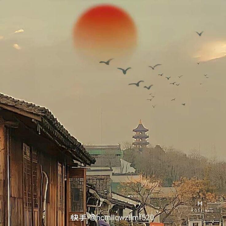 Ảnh đại diện Zalo thể hiện cảm xúc