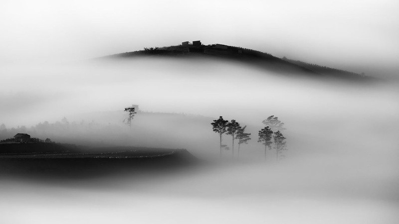 Vẻ Đẹp Vượt Thời Gian Của Ảnh Trắng Đen Ảnh đen trắng của một dòng sông hoặc suối trong rừng