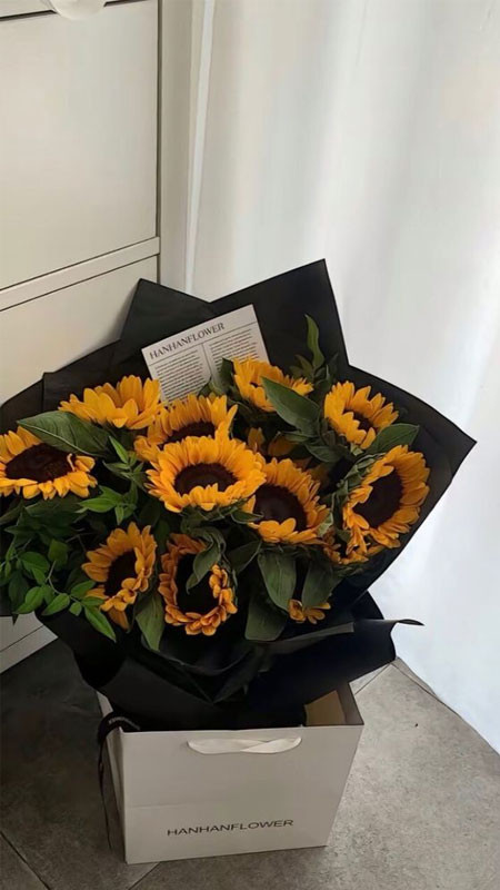 Ảnh đóa hoa hướng dương rực rỡ làm hình nền