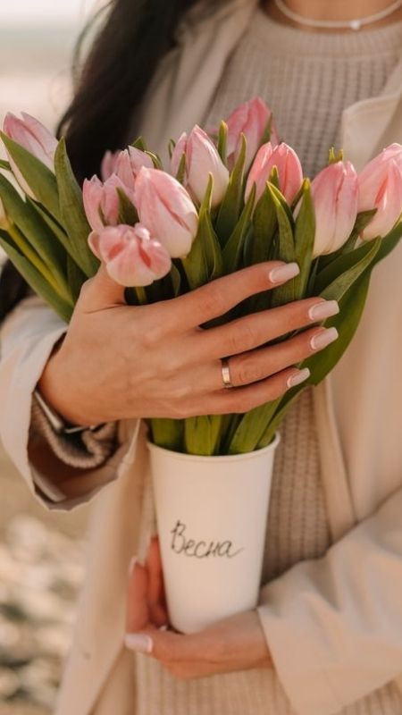 Ảnh hoa tulip hồng kiều diễm và ngọt ngào