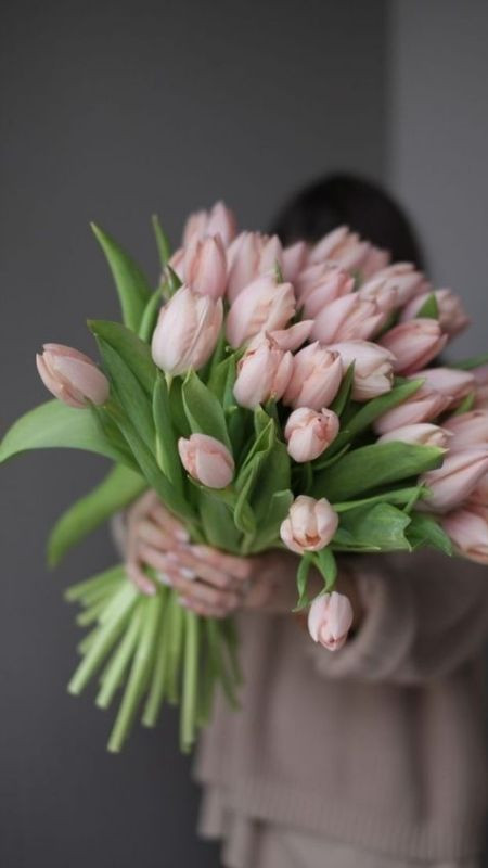 Ảnh hoa tulip lớn với tone màu hồng cam dễ thương