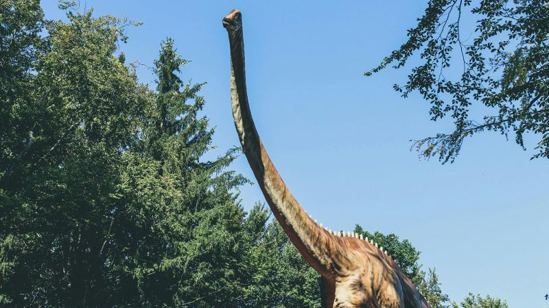 Ảnh khủng long cổ dài Brachiosaurus đứng cạnh cây cao