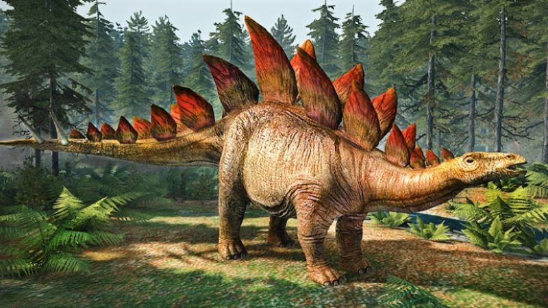 Ảnh khủng long vây kiếm Stegosaurus với các tấm giáp lưng