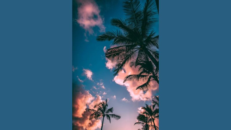 Ảnh màn hình điện thoại phong cảnh thác nước hùng vĩ giữa rừng