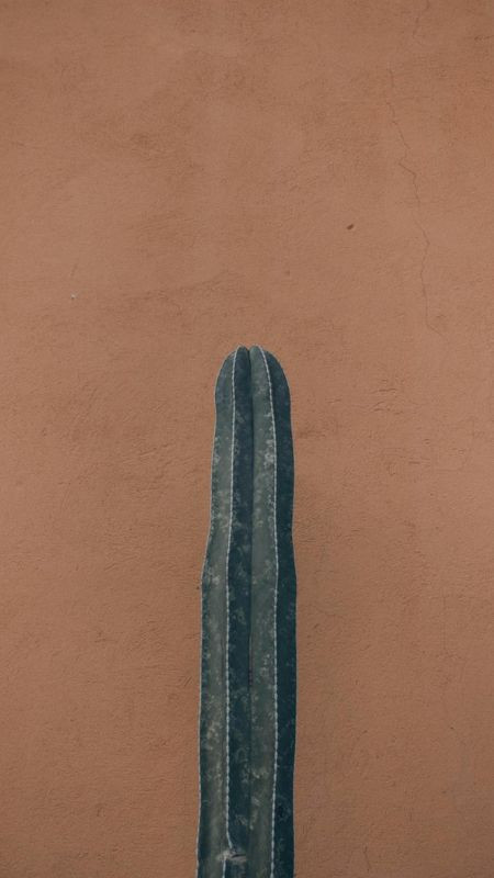 Ảnh màn hình điện thoại tối giản với gradient màu