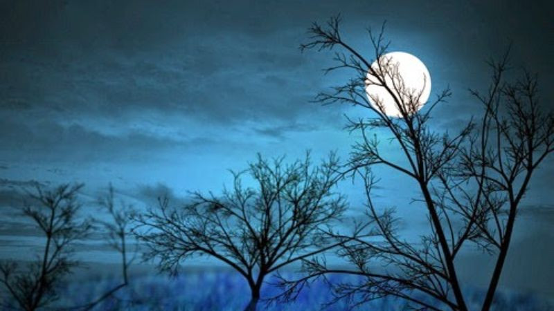 Ảnh mặt trăng mùa đông tĩnh lặng và tinh khôi