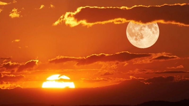 Ảnh mặt trăng mùa hè trên bãi biển đêm