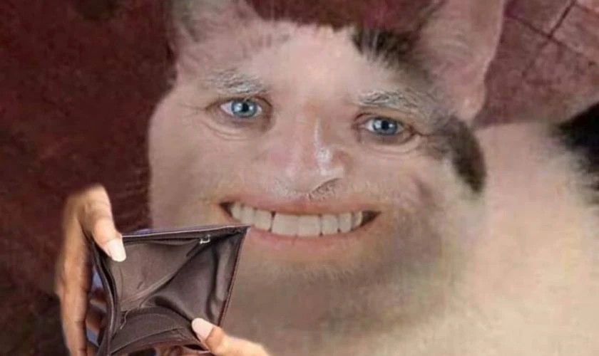 Ảnh meme biểu cảm ngờ nghệch của phụ nữ