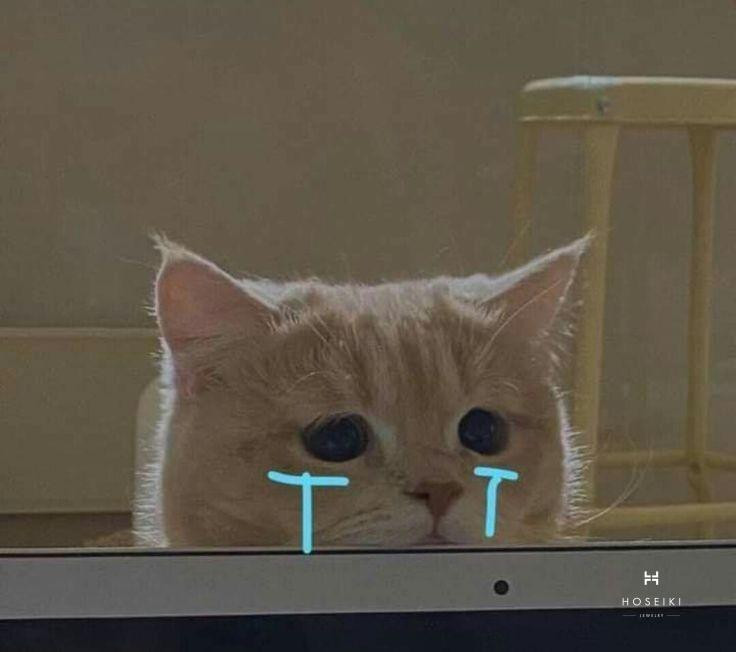 Ảnh meme buồn phản ánh nỗi buồn trở thành một xu hướng trên mạng xã hội