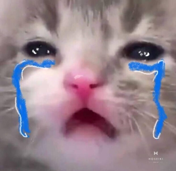 Ảnh meme buồn về người đang cố gượng cười dù lòng đầy tâm trạng