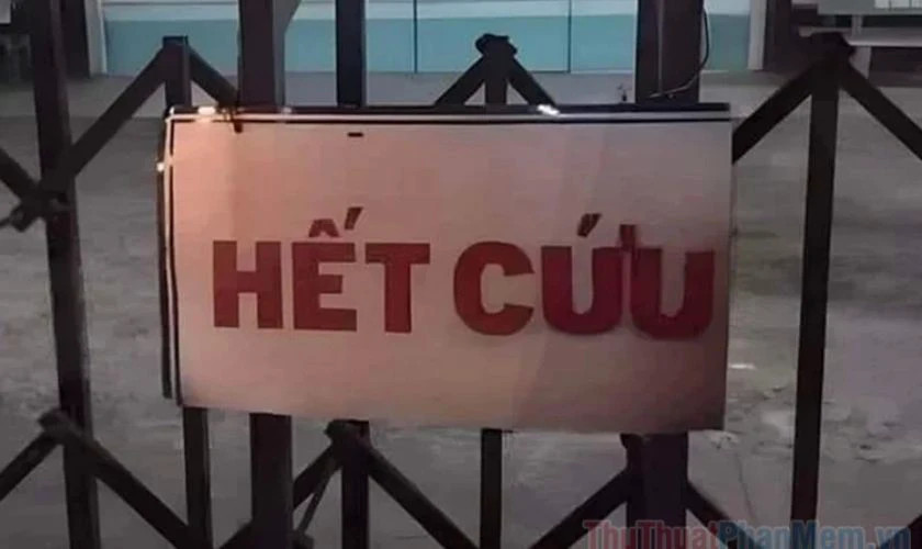 Ảnh meme chú chó nhìn trời vẻ bất lực