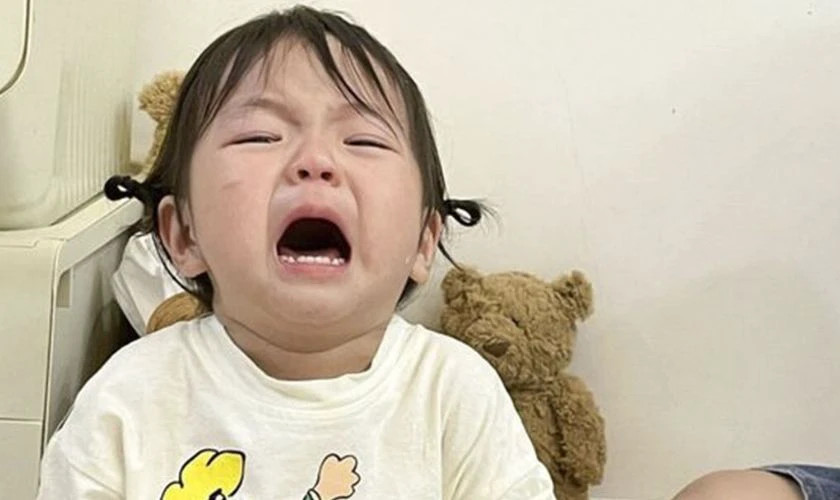 Ảnh meme cô bé khóc nức nở