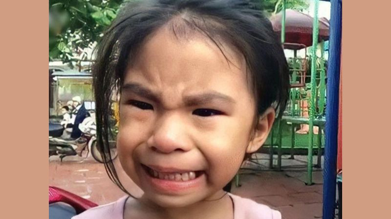 Ảnh meme cute biểu cảm ngạc nhiên, phản ánh sự phát triển ban đầu của meme