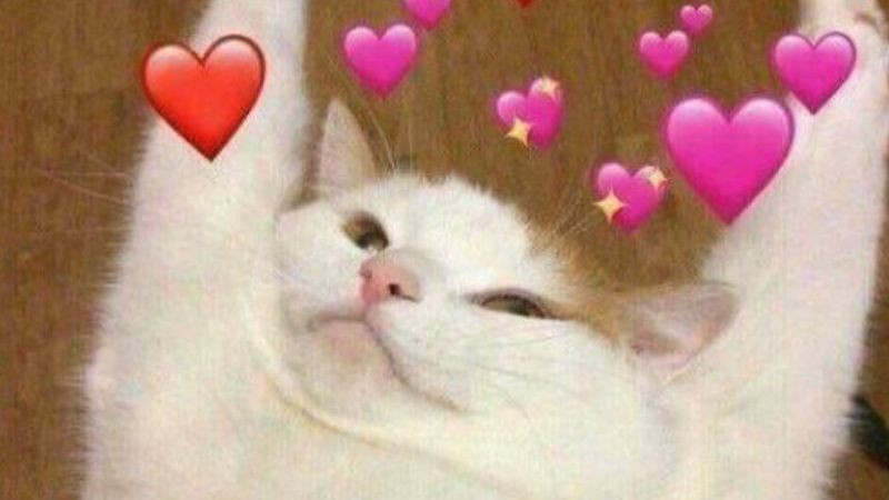 Ảnh meme cute tình yêu, thể hiện sự ngọt ngào lãng mạn