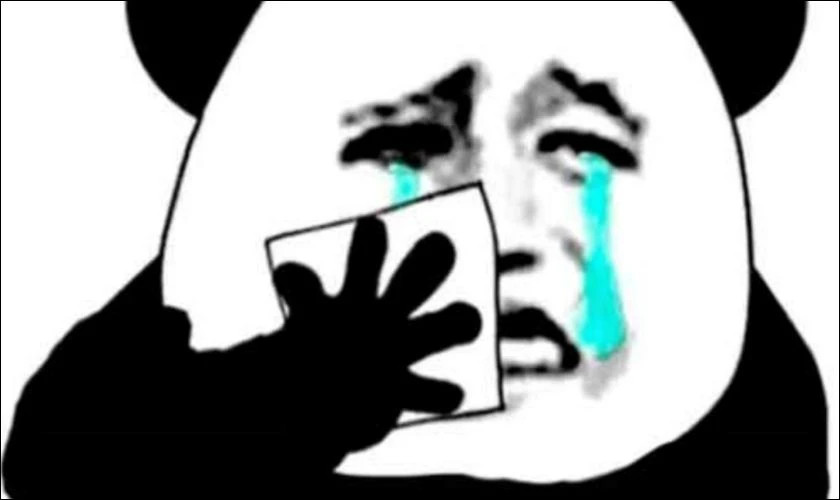 Ảnh meme động vật với biểu cảm buồn bã