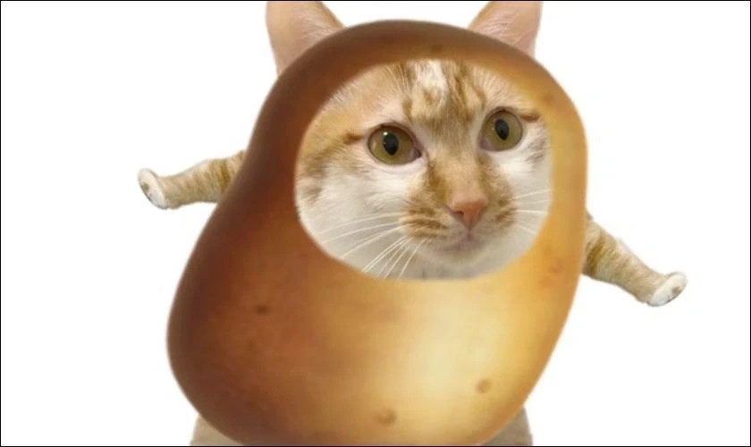 Ảnh meme em bé mắt mở to vẻ bàng hoàng