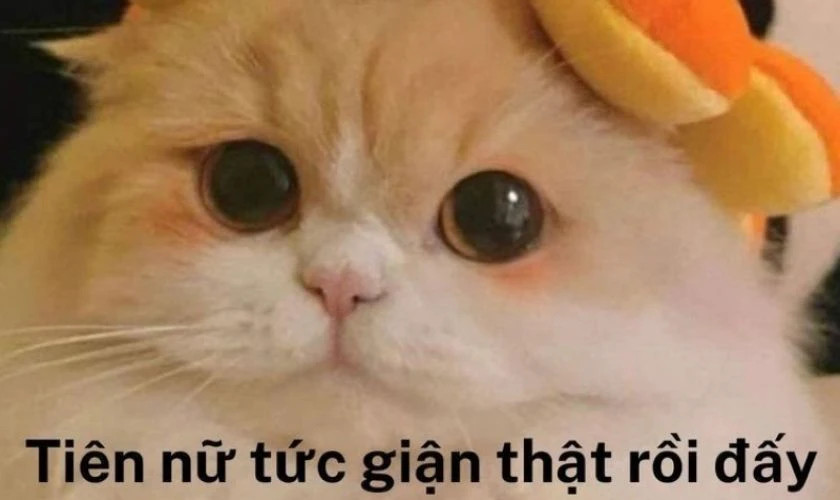 Ảnh meme em bé ngạc nhiên đáng yêu
