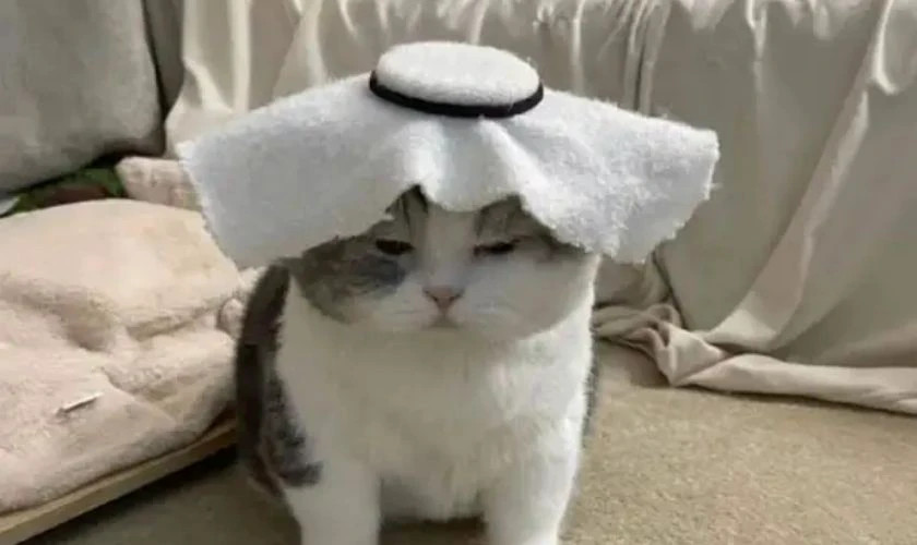 Ảnh meme em bé ngạc nhiên há hốc miệng