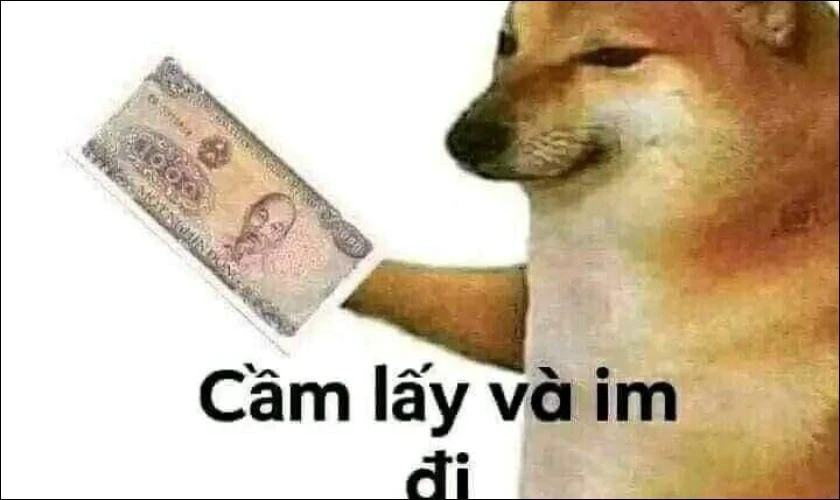 Ảnh meme gương mặt hài hước nhìn chằm chằm