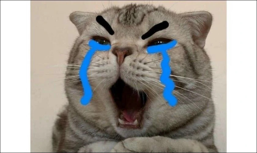 Ảnh meme gương mặt ủ rũ chán nản