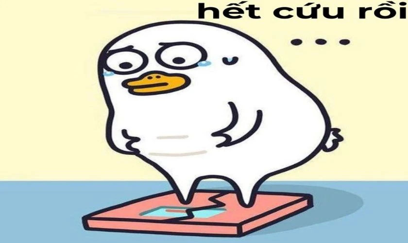 Ảnh meme khuôn mặt phụ nữ biểu cảm hết cứu