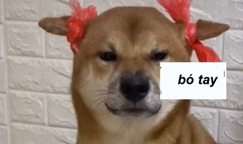 Ảnh meme người đàn ông nhún vai bất lực