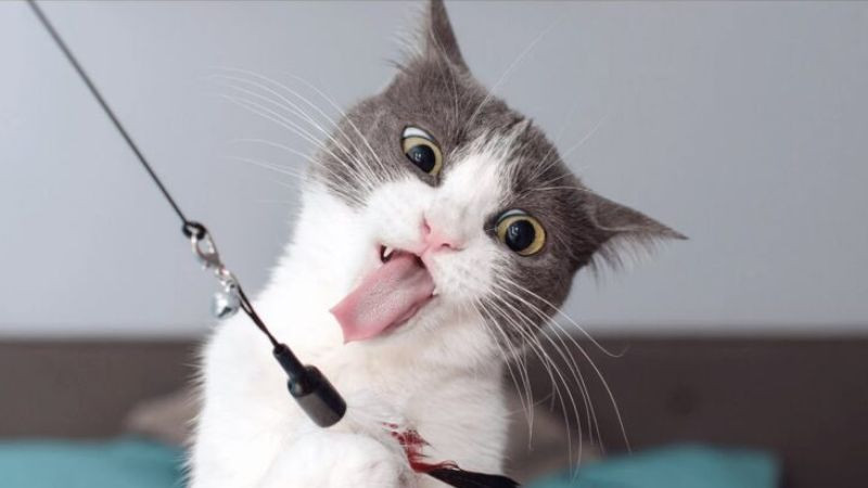 Ảnh meme nụ cười nham hiểm