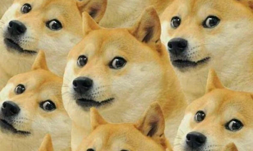 Ảnh meme phụ nữ nhếch mép cười bí hiểm