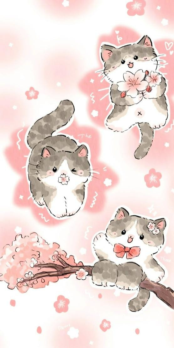 Ảnh mèo với biểu cảm hài hước, mở to mắt ngạc nhiên