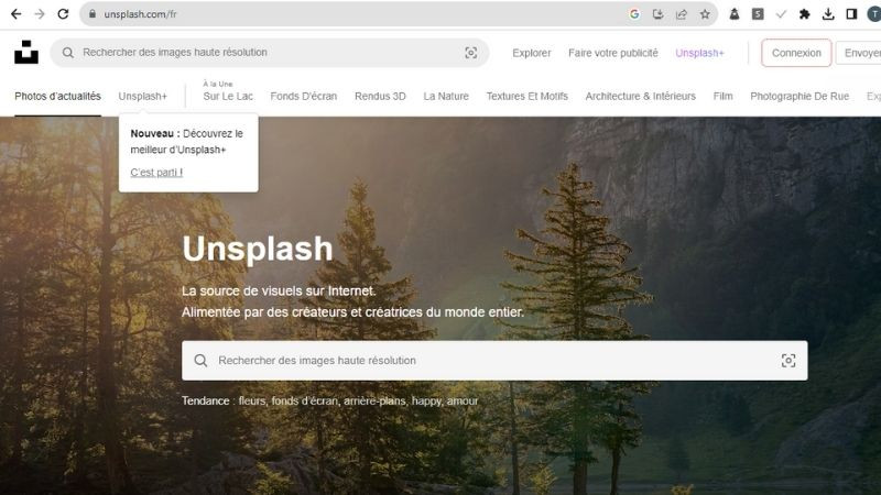 Ảnh minh họa giao diện tìm kiếm hình ảnh Phật trên Unsplash