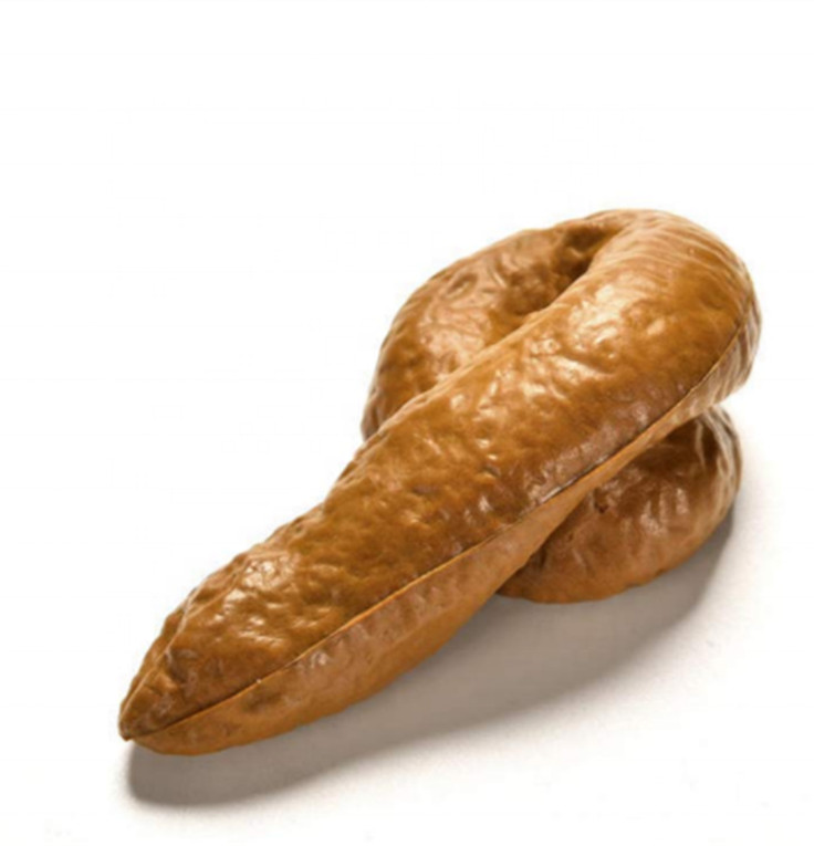 Ảnh minh họa tác động tiêu cực của ảnh cứt đến giá trị văn hóa mạng