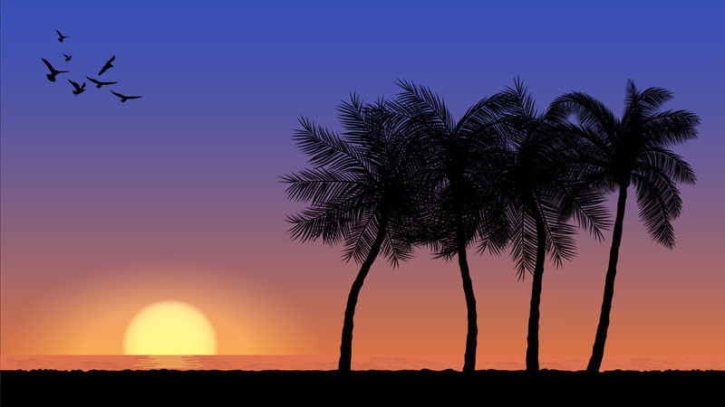 Ánh nắng bình minh chiếu rọi con đường giữa cánh đồng