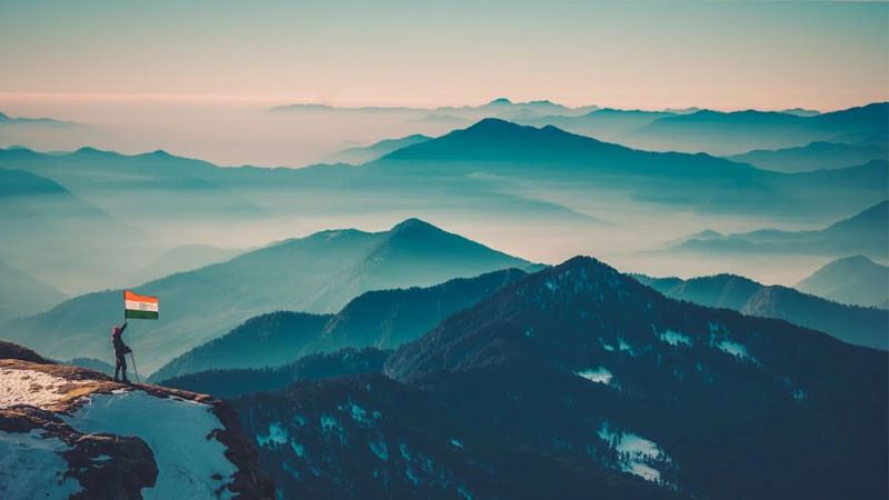 Ánh nắng bình minh chiếu xiên qua rặng thông