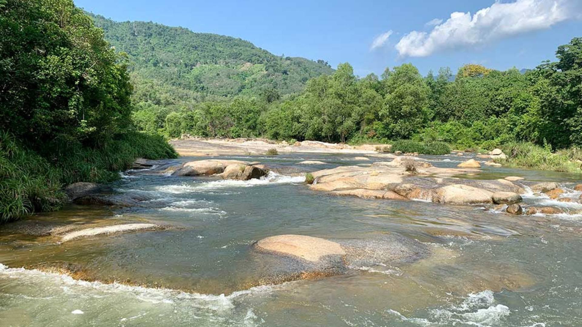 Ánh nắng chiếu xiên qua tán lá, tạo hiệu ứng lung linh trên mặt dòng suối