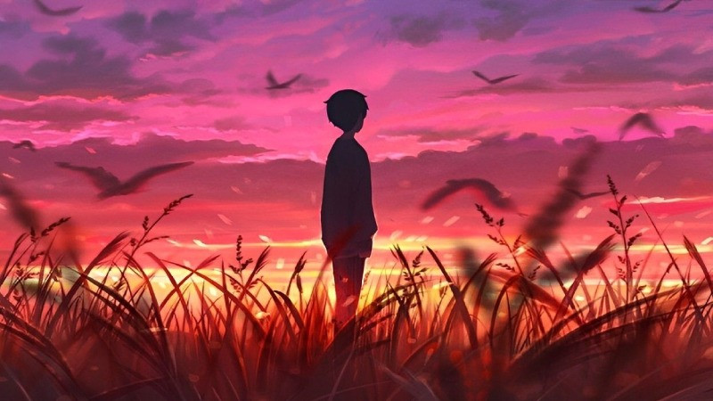 Ánh nắng hoàng hôn chiếu qua cành cây trong ảnh lofi