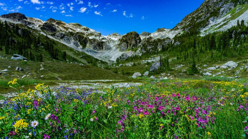 Ánh nắng mặt trời chiếu xuống thảo nguyên xanh mướt tạo nên hiệu ứng ánh sáng đẹp mắt