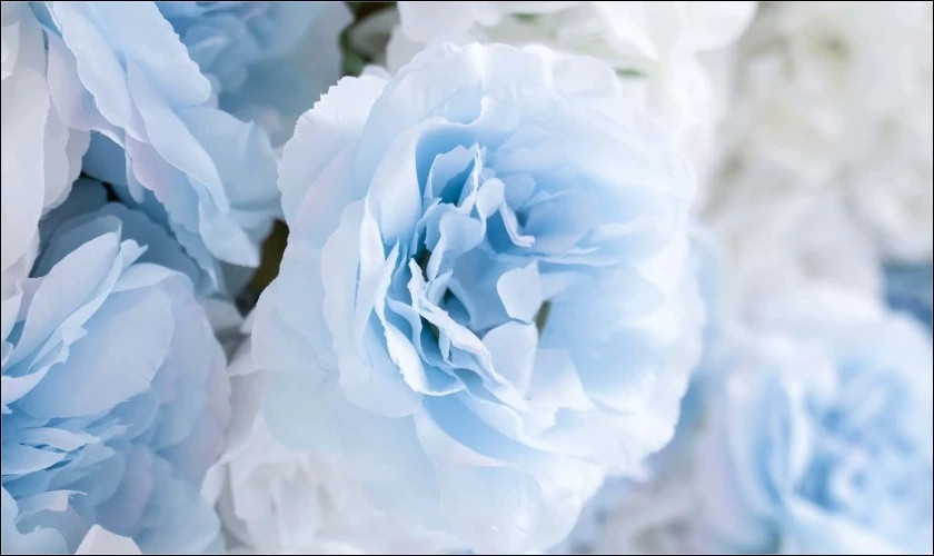 Ảnh nền cài màn hình máy tính tone nhẹ nhàng pastel