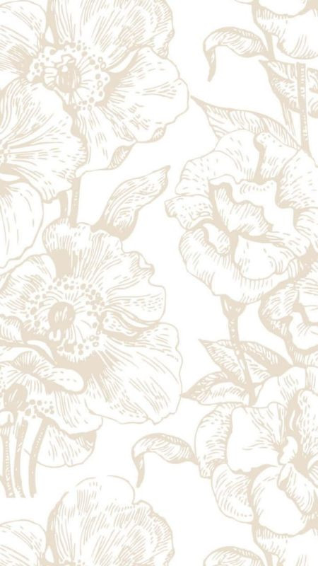 Ảnh nền chỉ có màu trắng trơn, không có họa tiết, ảnh màu trắng