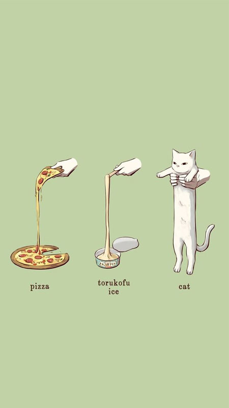 Ảnh nền cute cận cảnh khuôn mặt mèo con đáng yêu