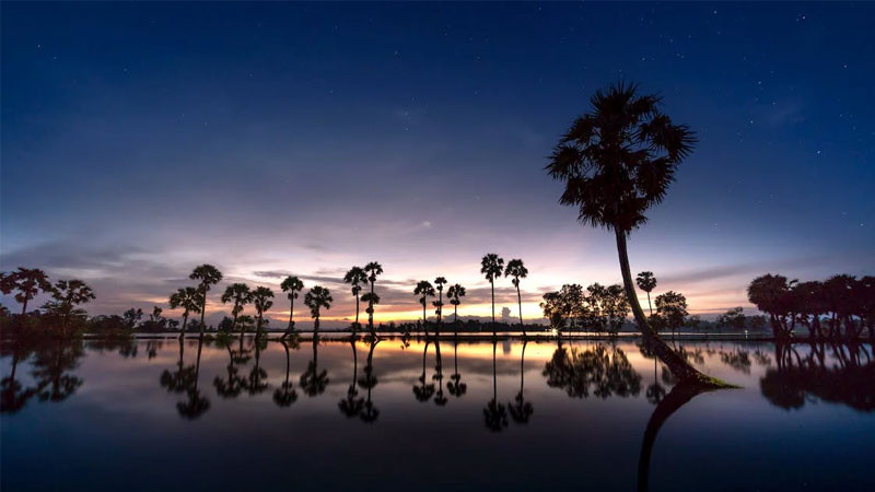 Ảnh nền đẹp phong cảnh con đường mòn